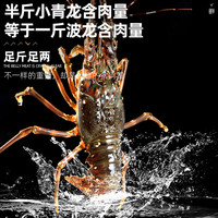 首鲜道 鲜活小青龙 350g*2只装