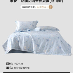 水星家纺 全棉夏凉被A类可水洗夏季薄被子清新印花空调被芯26新品