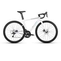 喜德盛 ?吴磊）公路自行车成人男女骑行变速RC618/RC618PRO rc618银/白 700*510(身高175-185cm) 24款银/白