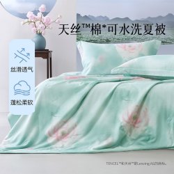 百丽丝 莱赛尔纤维天丝棉夏被 150cm×200cm 小荷晚萤