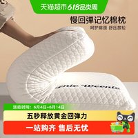 TEENIE WEENIE TeenieWeenie TW240805 慢回弹记忆枕 42*70*8cm 青绿