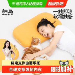 躺岛 猫肚皮枕3.0 记忆棉枕头 2kg 大橘已定