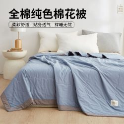 洁丽雅 JL06AAL 新疆棉花被 全棉夏凉被 110*150cm 雾霾蓝