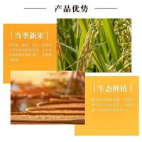 金龙鱼丝苗米5kg大米籼米长粒香米象牙粘米猫牙米10斤