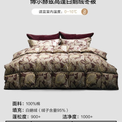 水星家纺 波兰进口95%白鹅绒冬被80S贡缎轻奢抑菌羽绒被芯高端床品