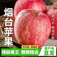 正鲜季 烟台苹果烟台红富士苹果【甄选特大果】果径85mm-90mm 5斤 | 净重4.8斤