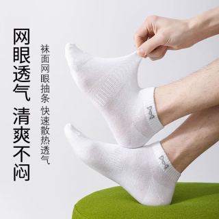 猫人 95%新疆棉 纯棉网眼男士短袜 10双/礼盒装
