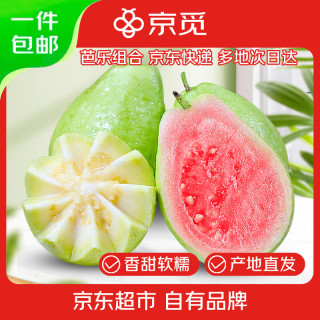 京觅 廉江红心奶油芭乐组合 净重3斤 单果150g+新鲜番石榴源头