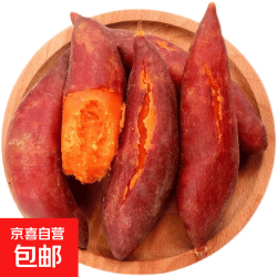 河南 红薯沙地地瓜 5斤净重（单果150g+）