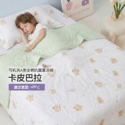 罗莱儿童 男童汽车被芯 夏凉被 120*150cm 快乐汽车