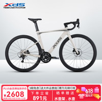 喜德盛 AD300 公路自行车 幻彩紫/银 18速 700C*510