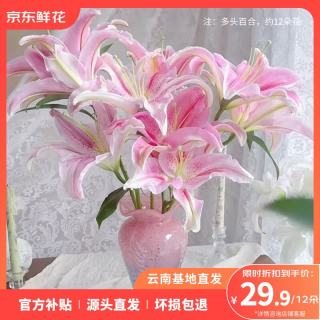 京东鲜花 12朵百合鲜花源头直发