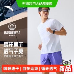 安踏 速干大师C5男士T恤952625115