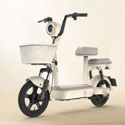 爱玛 电动自行车 小金豆48V电池长续航轻便踏板电动车2026