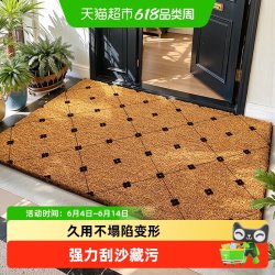 大江 入户门地垫 60x90cm 静谧迎宾