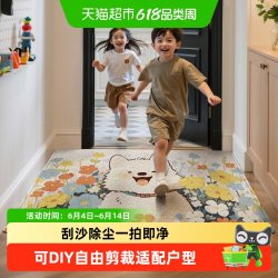 大江 入户地垫门口玄关脚垫进门耐脏丝圈地毯门垫子