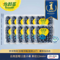 移动端、京东百亿补贴：Driscoll's 云南蓝莓12mm+ 12盒装 约125g/盒