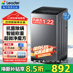 海尔 波轮洗衣机全自动12公斤大容量 直驱变频一级能效智能预约抗菌除螨防缠绕速洗