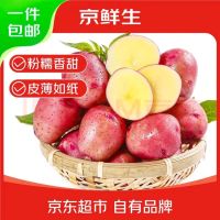 移动端、京东百亿补贴：京鲜生 云南红皮土豆净重3斤单果80g+红皮黄心土豆马铃薯洋芋 源头直发