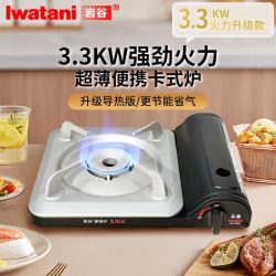 岩谷 卡式炉 新款29 便携户外炉灶 防风燃气炉