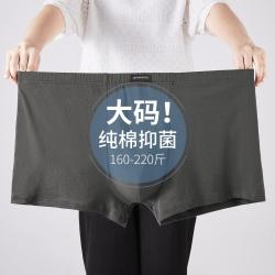 七匹狼 4条盒装男士内裤100%纯棉平角内裤男抑菌透气