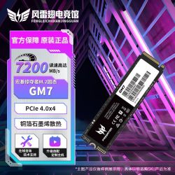 宏碁 掠夺者GM7  512G M.2接口 TLC颗粒 PCIe4.0协议 SSD固态硬盘