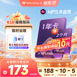 wps 大会员14个月（核123元/年）