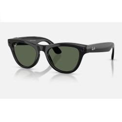 Ray-Ban Meta Skyler 智能太阳镜 RW4010 670013 52-20
