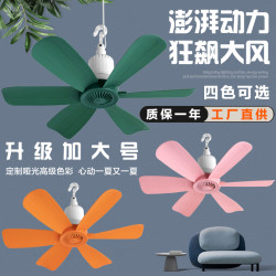黑马 小吊扇床上迷你小风扇静音家用蚊帐挂风扇学生宿舍吊扇小型电风扇