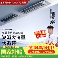 奥普 厨房空调冰旋风 厨房专用空调厨新款 CKZ-26Q-A