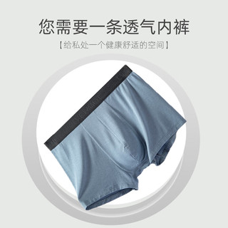 夏娃之秀 男平角内裤 灰兰 XL