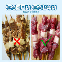 羊小柒 宁夏滩羊新鲜羔羊肉串 5斤