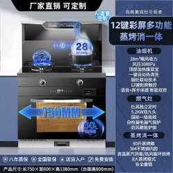 旺厨好太太 750小尺寸集成灶 蒸烤一体 天然气