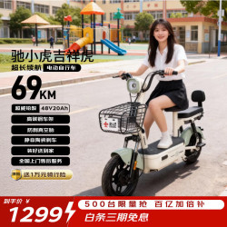 驰小虎 长续航 电动自行车  浅绿 20Ah 48V