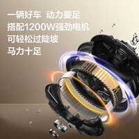 新日 丽曼 72V铅酸电池 长续航80km 棕色 电动摩托车