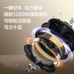 新日 丽曼 72V铅酸电池 长续航80km 棕色 电动摩托车