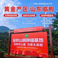 金晔 山楂清清原味山楂清汁 果汁饮料