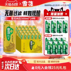 雪花 BEER 雪花 SNOWBEER 匠心营造 纯生啤酒 500ml*24听