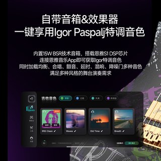 Enya恩雅 Inspire Igor Paspalj联名款 智能电吉他