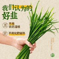 小黄象 韭菜鸡蛋虾仁薄皮馅饼