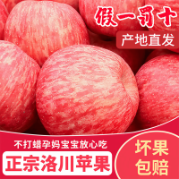 正鲜季 正鲜 洛川苹果陕西延安洛川红富士苹果 净重3斤 | 中果70-75mm
