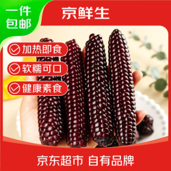 京鲜生 紫拇指小玉米净重 1斤装