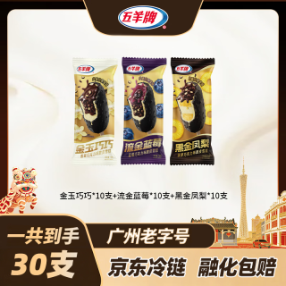 五羊牌 黑金凤梨金玉巧巧流金蓝莓脆皮冰淇淋雪糕30支整箱2310g冷链包邮