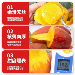 贵妃 正宗树上熟广西贵妃大芒果4.5斤