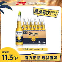 科罗娜 墨西哥风味啤酒 330ml*12瓶