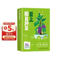 爱上阳台种菜