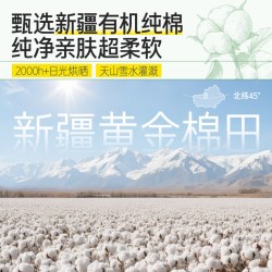 自由点 卫生巾有机纯棉夜用30片姨妈巾纯棉呵护