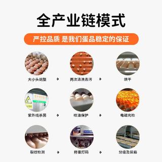 京鲜生 叶黄素DHA鲜鸡蛋 30枚