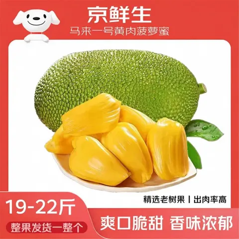 送礼佳品：端午闭眼入清单，长辈见了都夸好