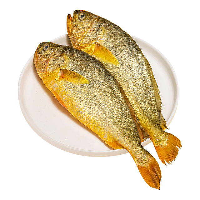 黄小渔 宁德深海大黄鱼 650g×2条
